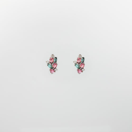 Earth Earrings